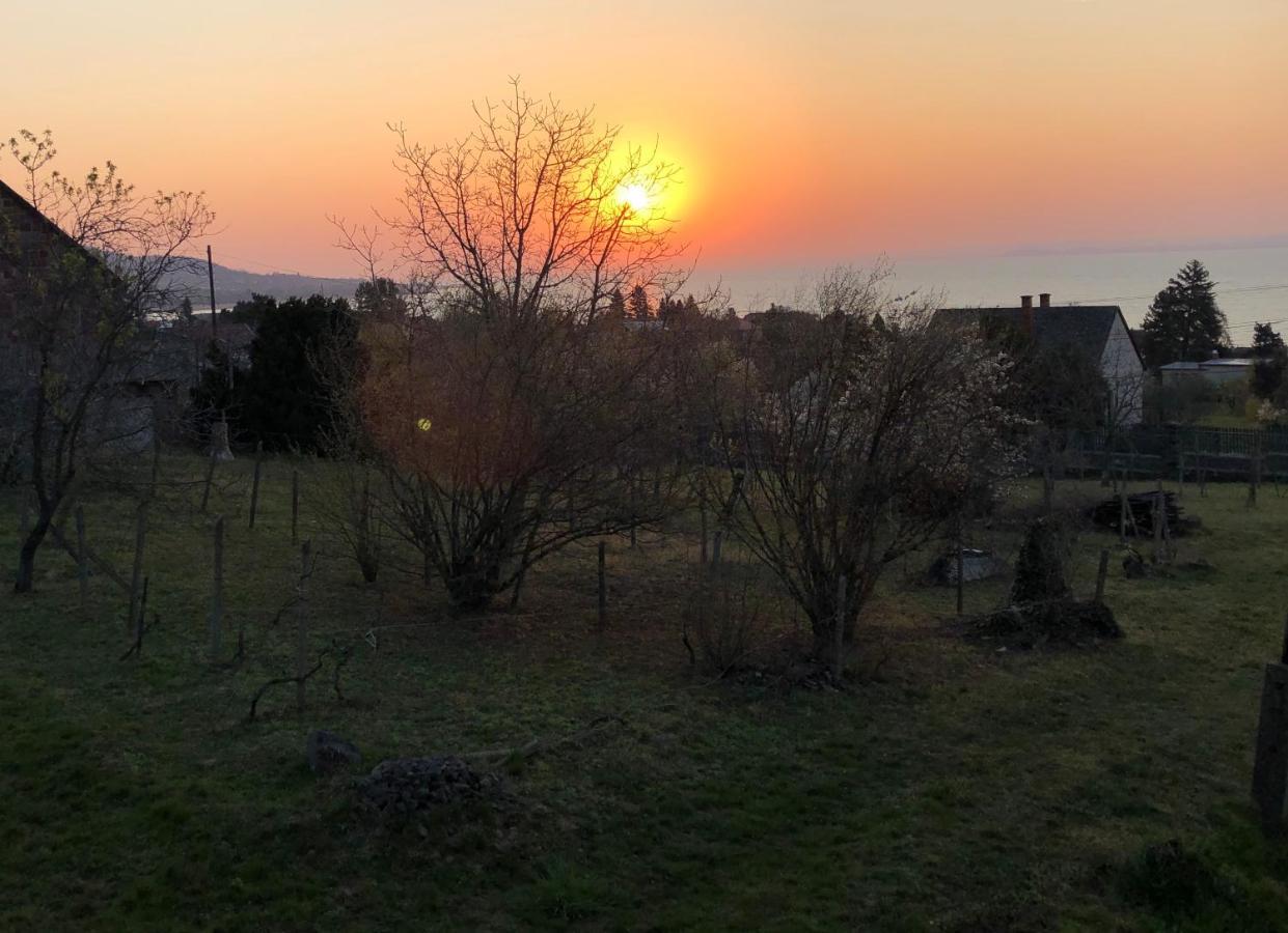 Omega Villa Бадачонтомай Екстериор снимка