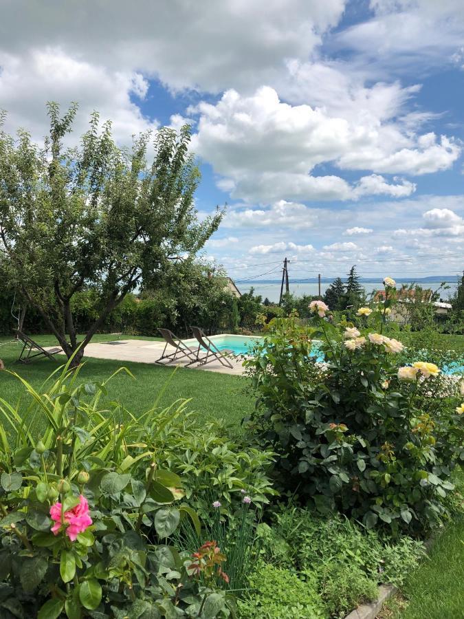 Omega Villa Бадачонтомай Екстериор снимка